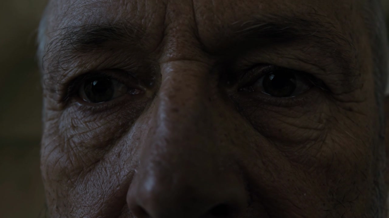 Todo está en la mirada